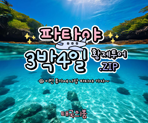 밤문화 정보 사진